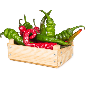 Chili Pepper Box
