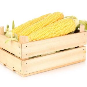 Corn Box