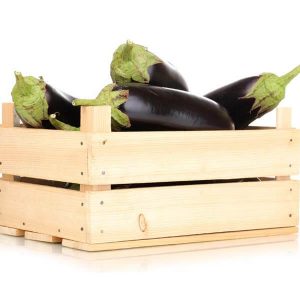 Eggplant Box