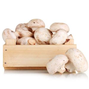 Fresh Mushrooms